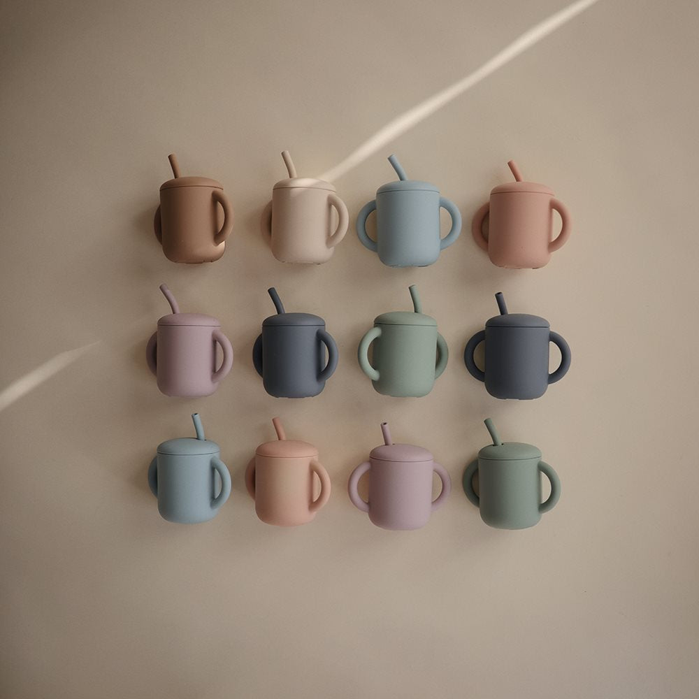 Silicon Straw Training Cup