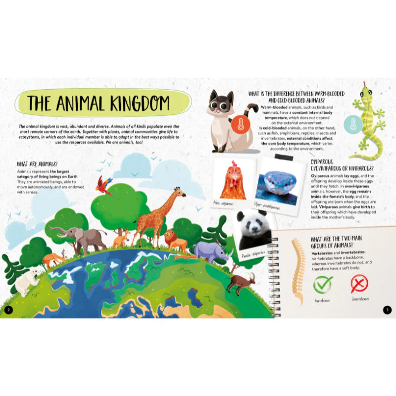 What, How, Why Book | Animals