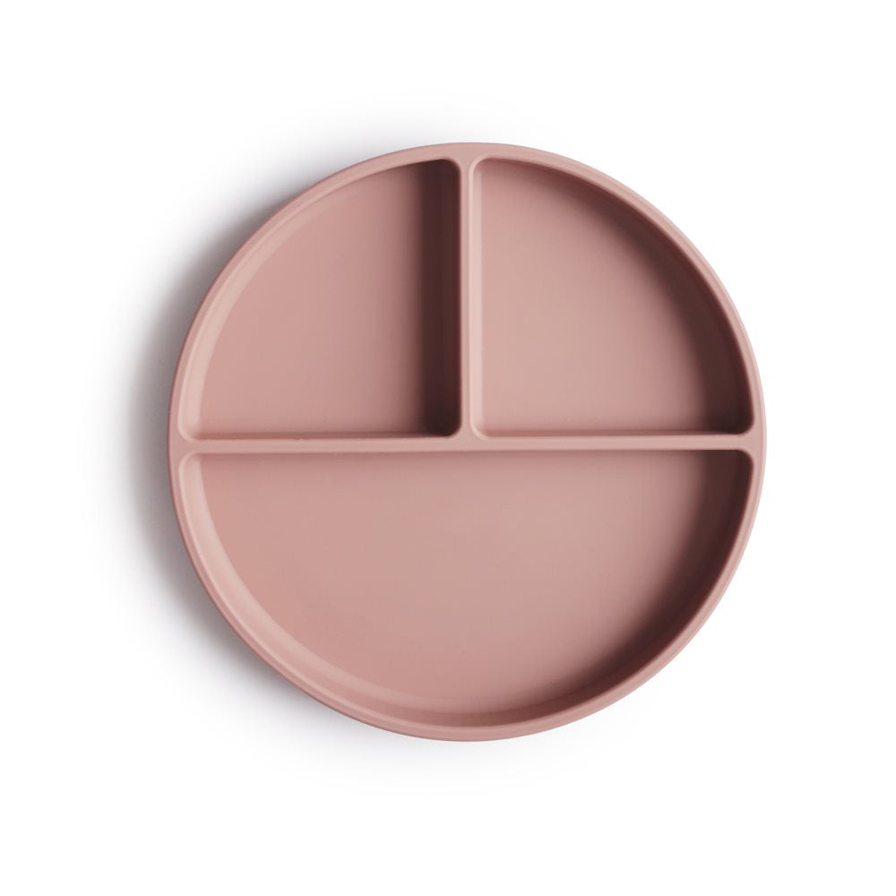 Silicon Divided Plate