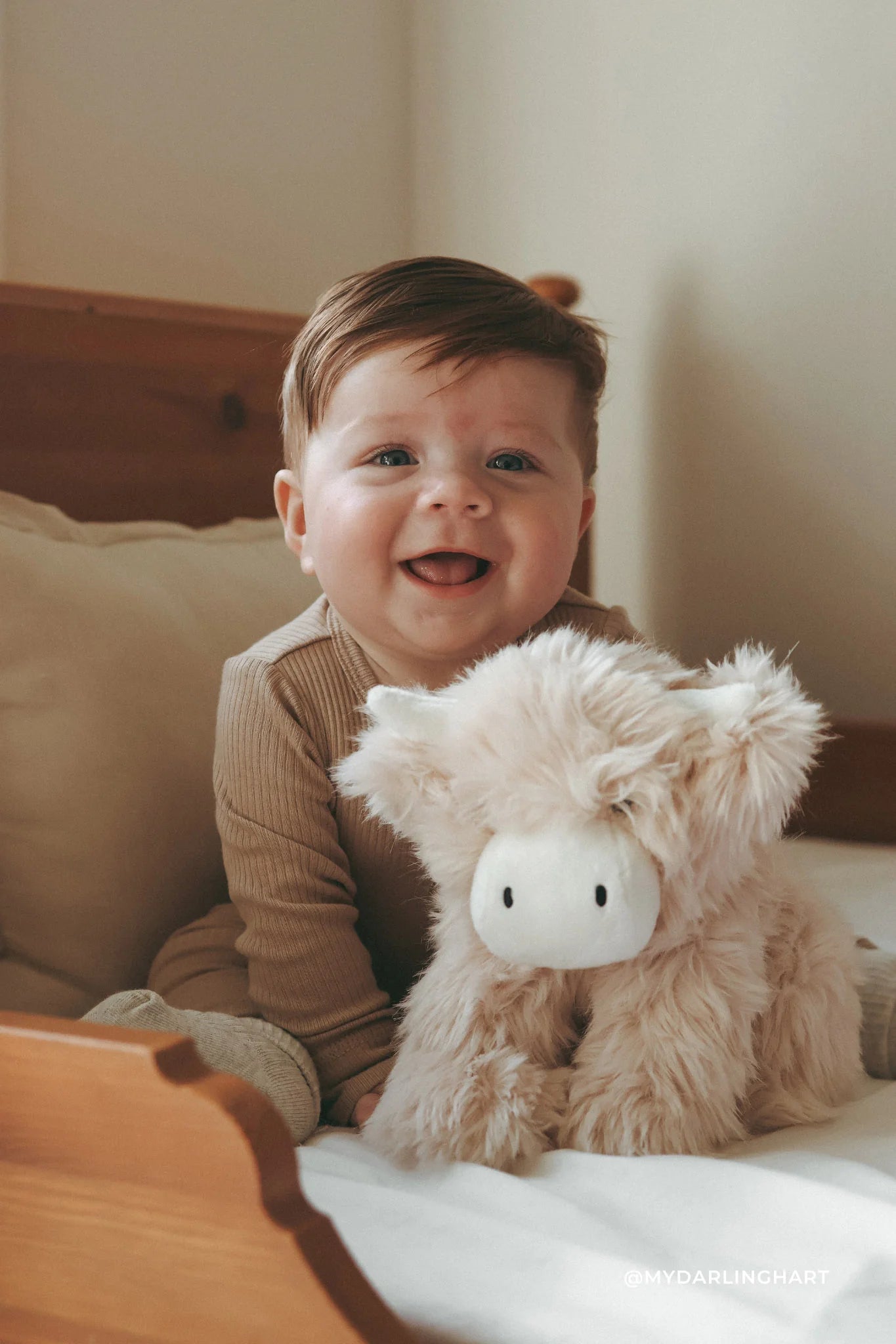 Snuggle Bunnies | Hilda The Highland Cow