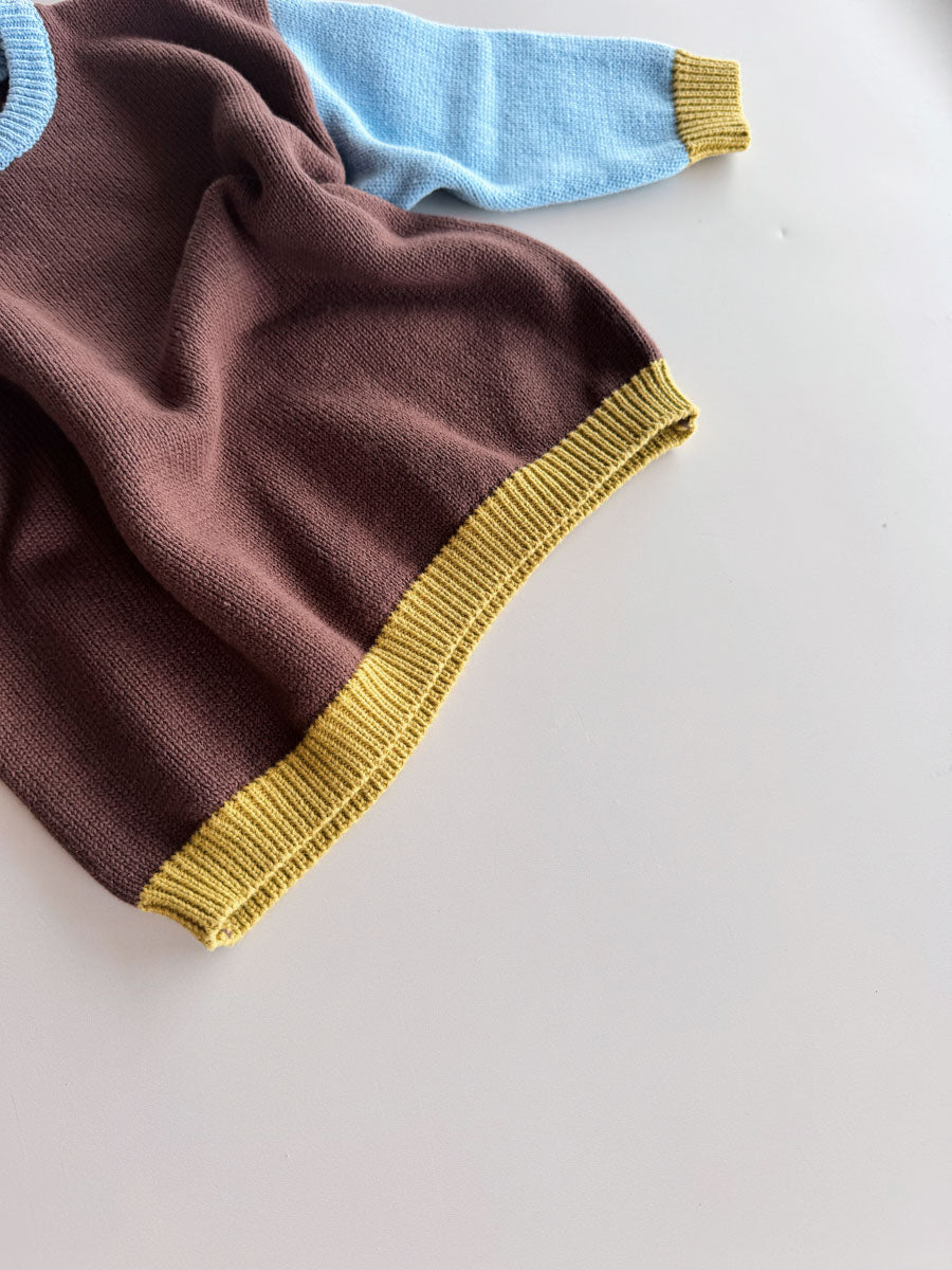 Cotton Knit Jumper | Brown/Blue/Green