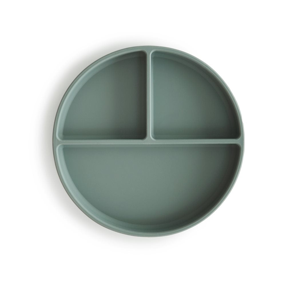 Silicon Divided Plate
