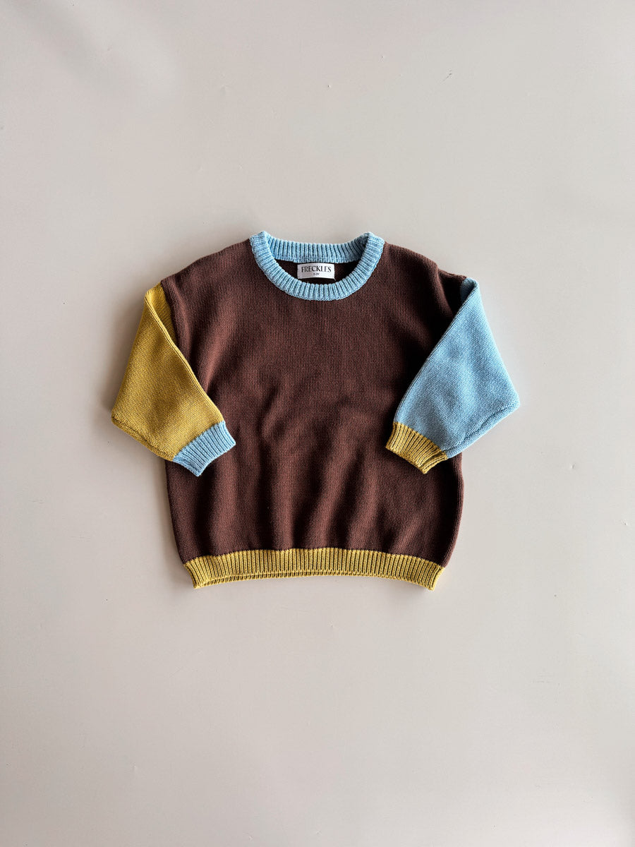 Cotton Knit Jumper | Brown/Blue/Green