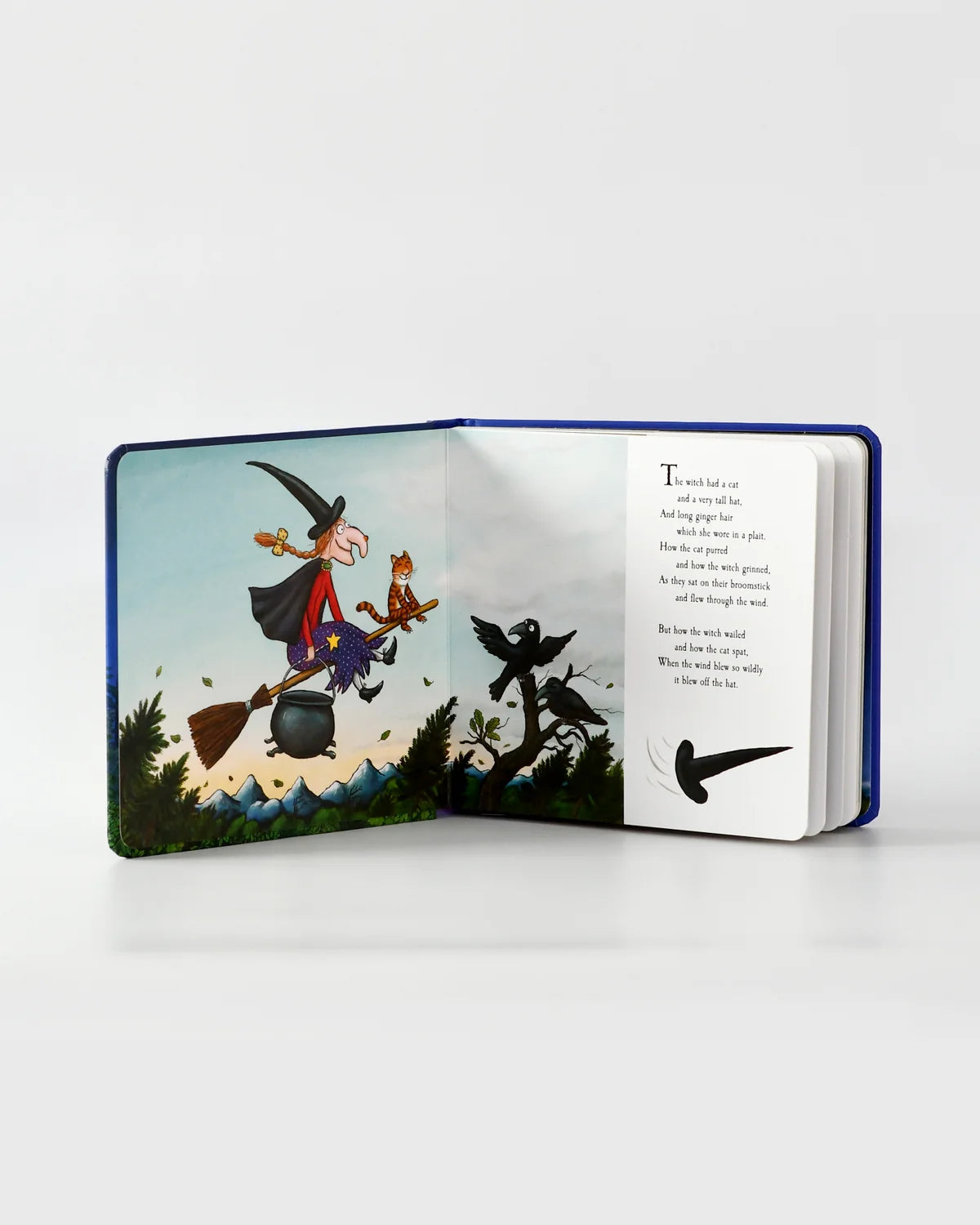 Book | Room On The Broom