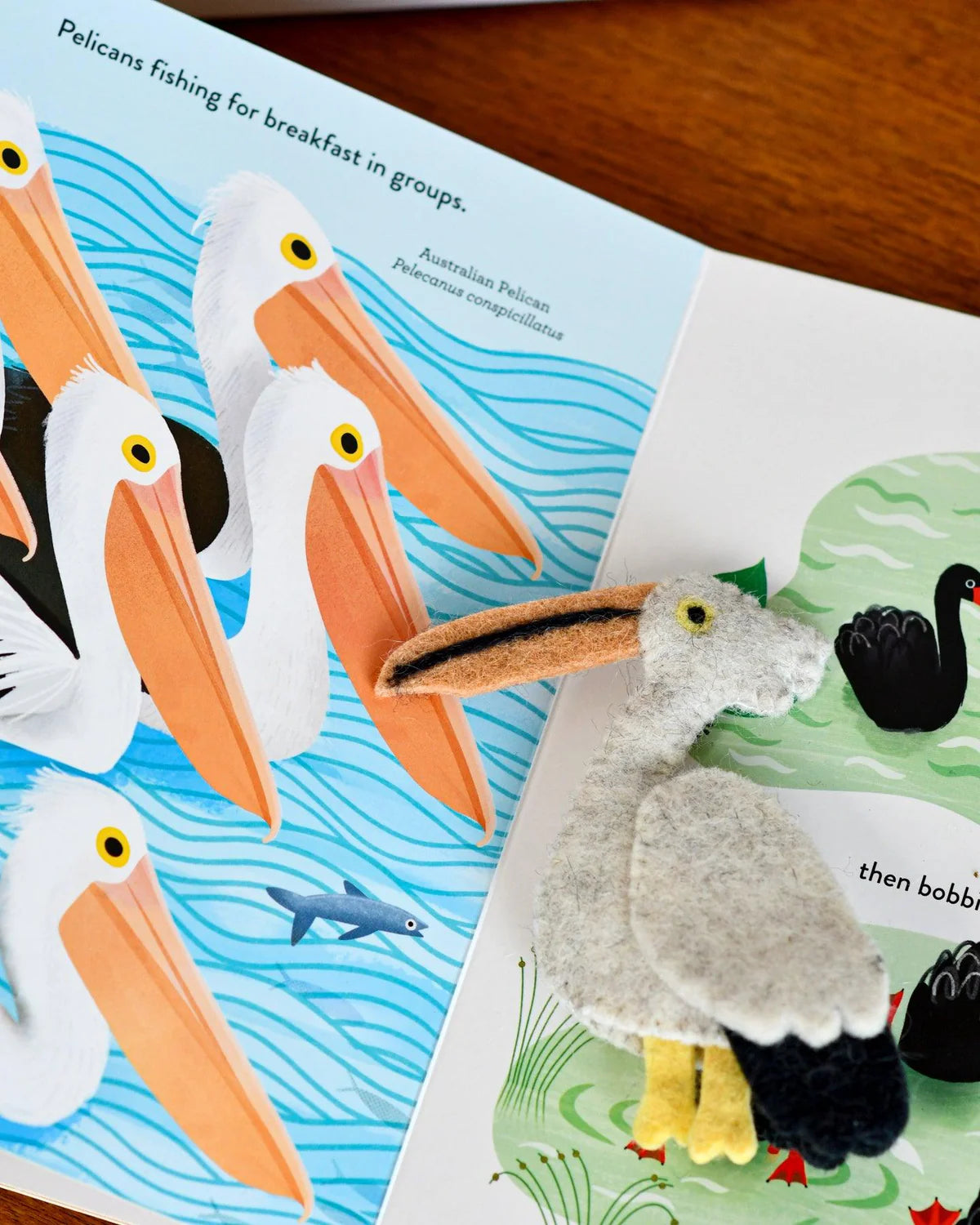 Book & Felt Finger Puppets | Busy Beaks