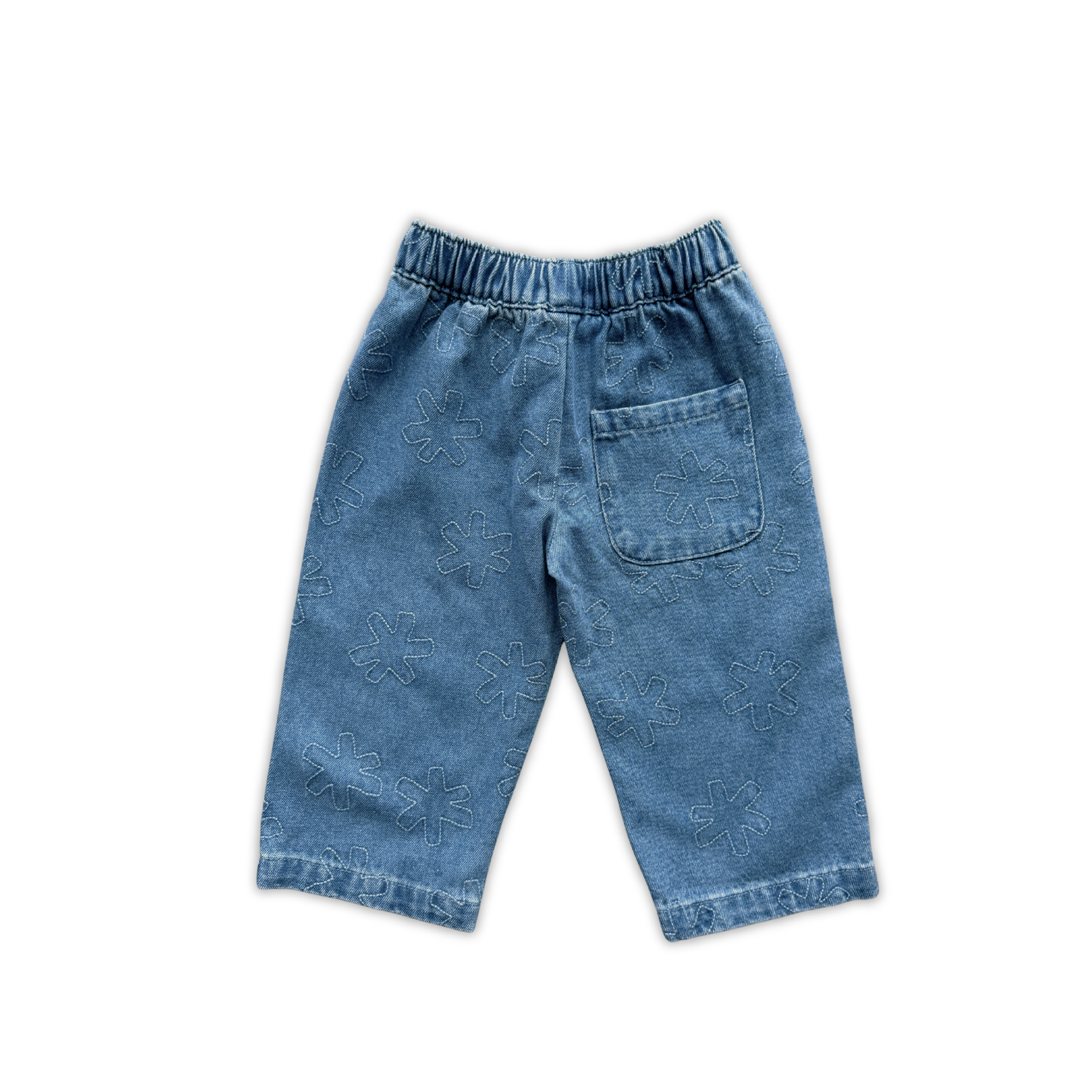 Organic Starlight Embroidery Denim Pant