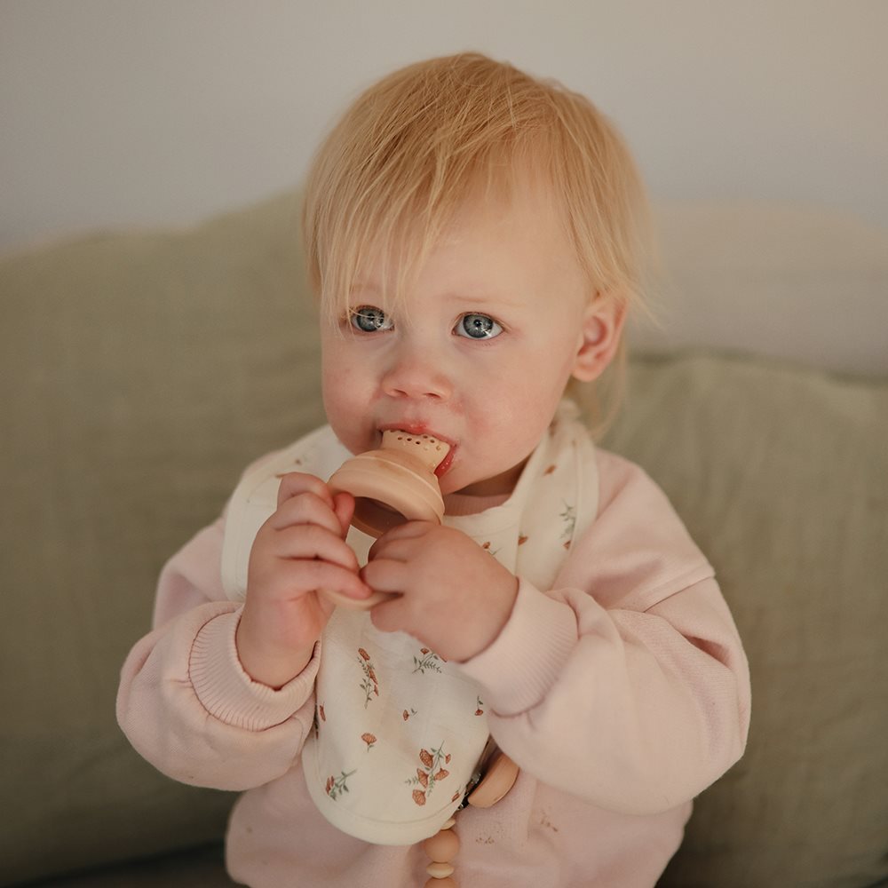 Silicone Fresh Food Feeder 2-pack