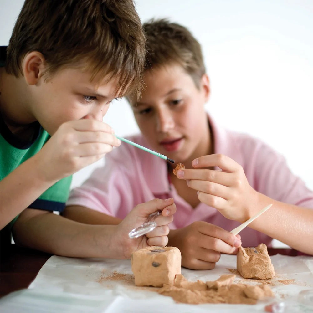 Kidzlabs | Crystal Mining