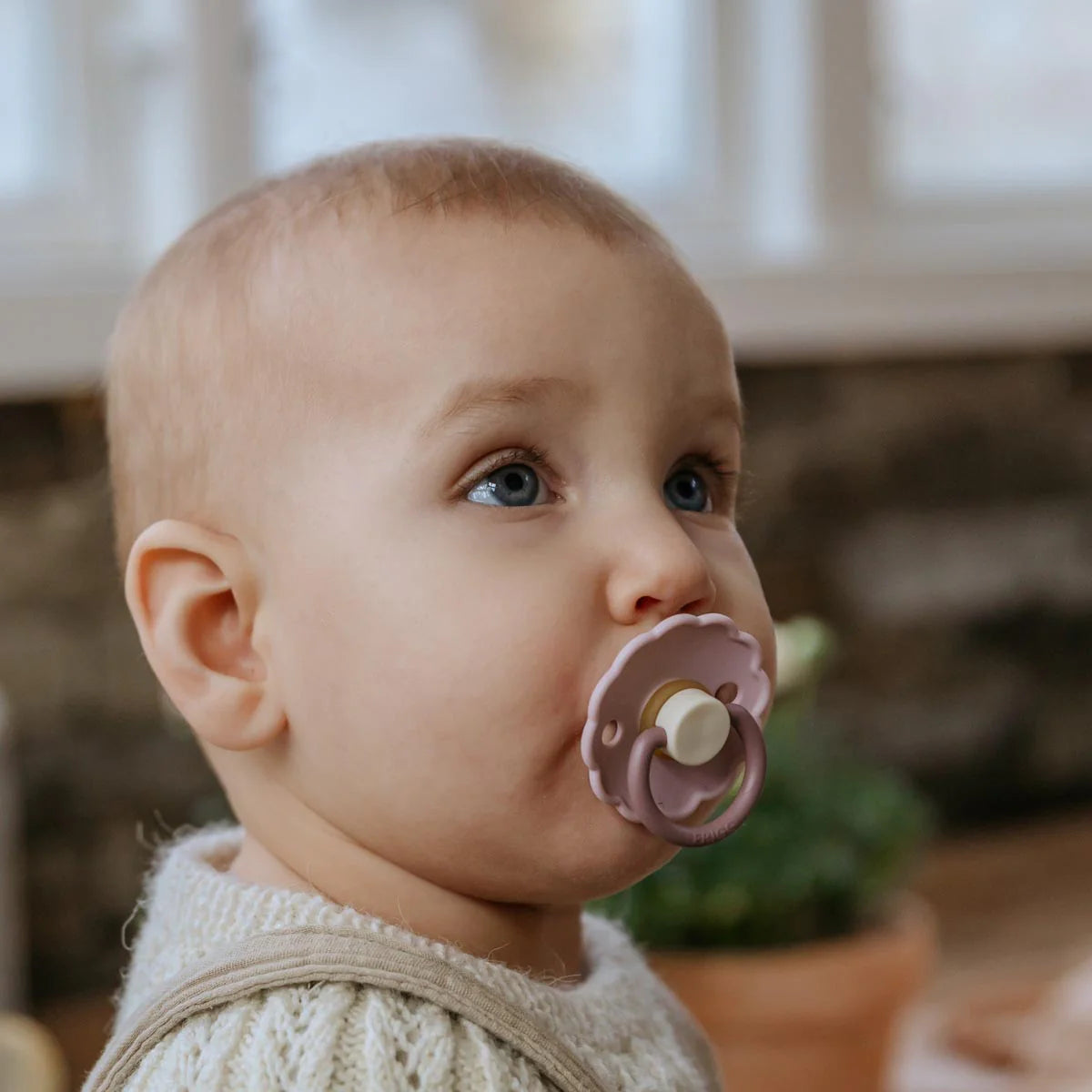 Daisy 2-Pack Pacifiers | Latex | Blush/Woodchuck