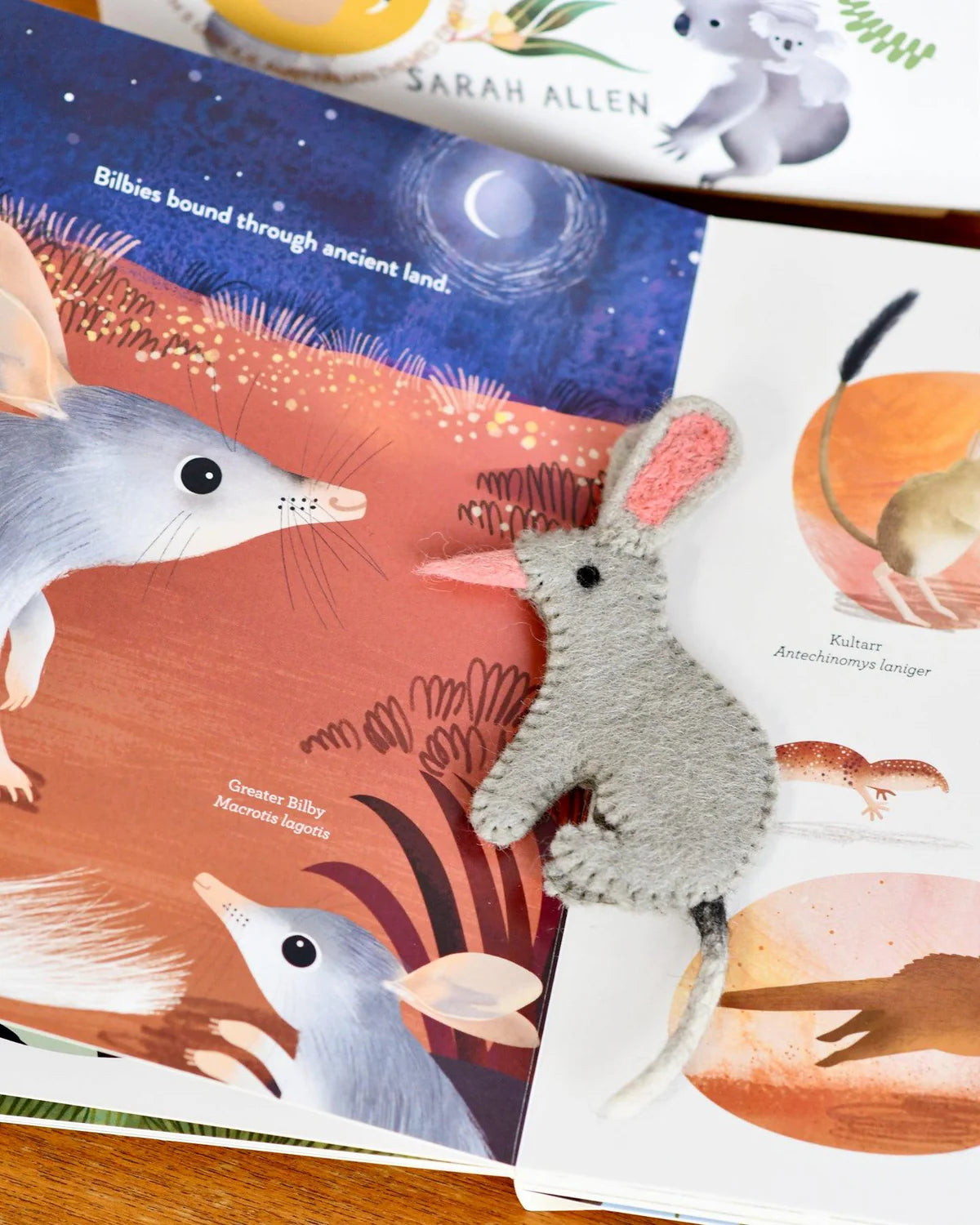 Book & Felt Finger Puppets | Jumping Joeys