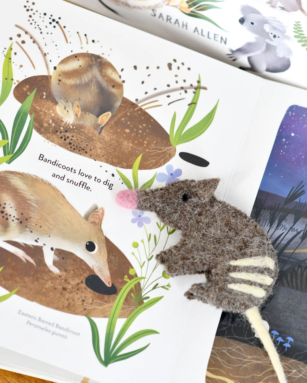 Book & Felt Finger Puppets | Jumping Joeys