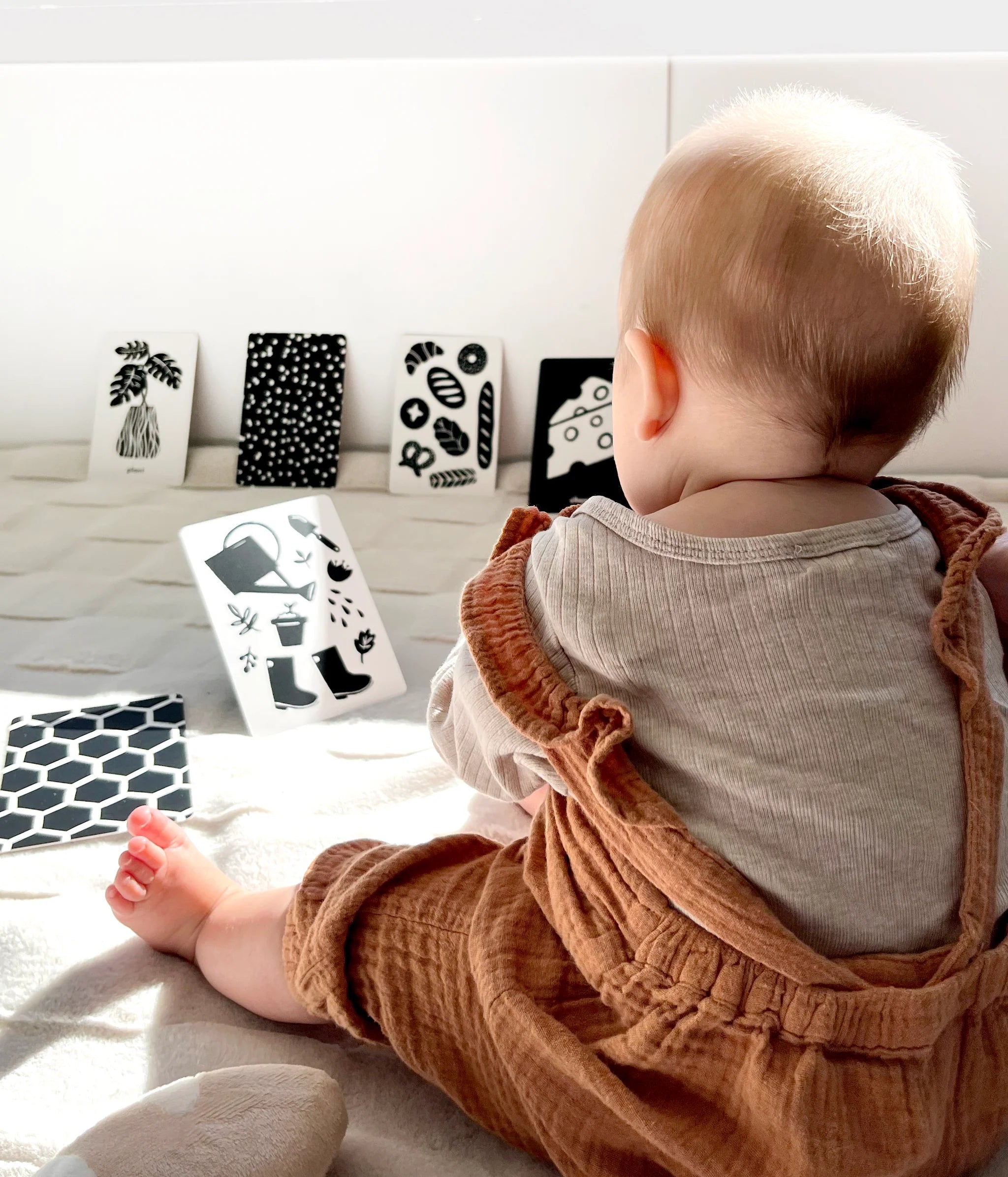 Illustrated Flash Cards | Baby High Contrast