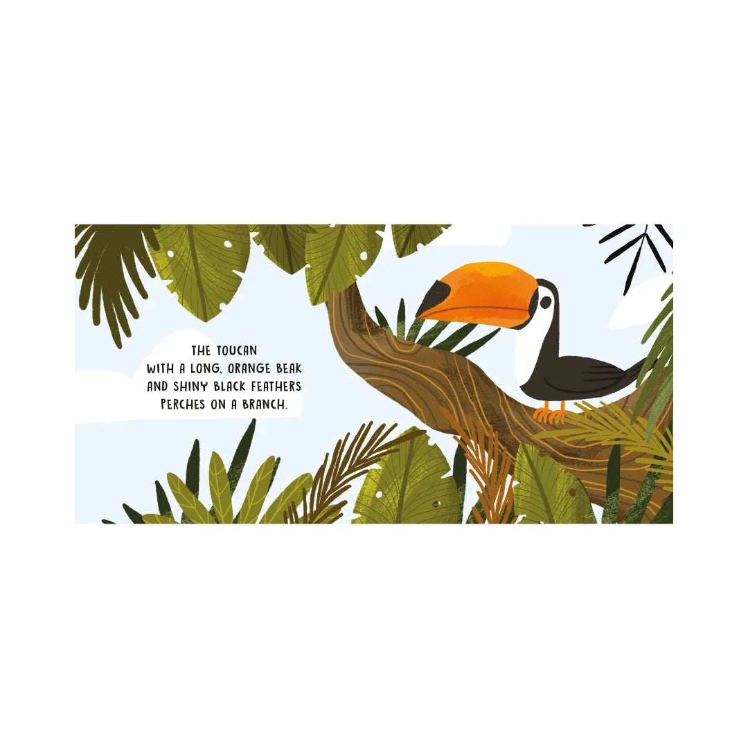 Sweet Sound Book | The Jungle