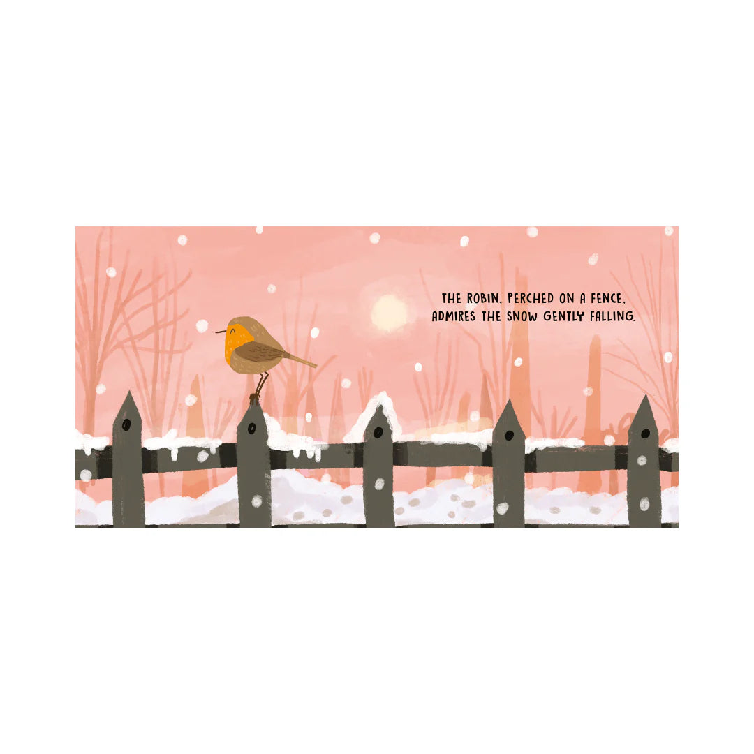 Sweet Sound Book | Birds