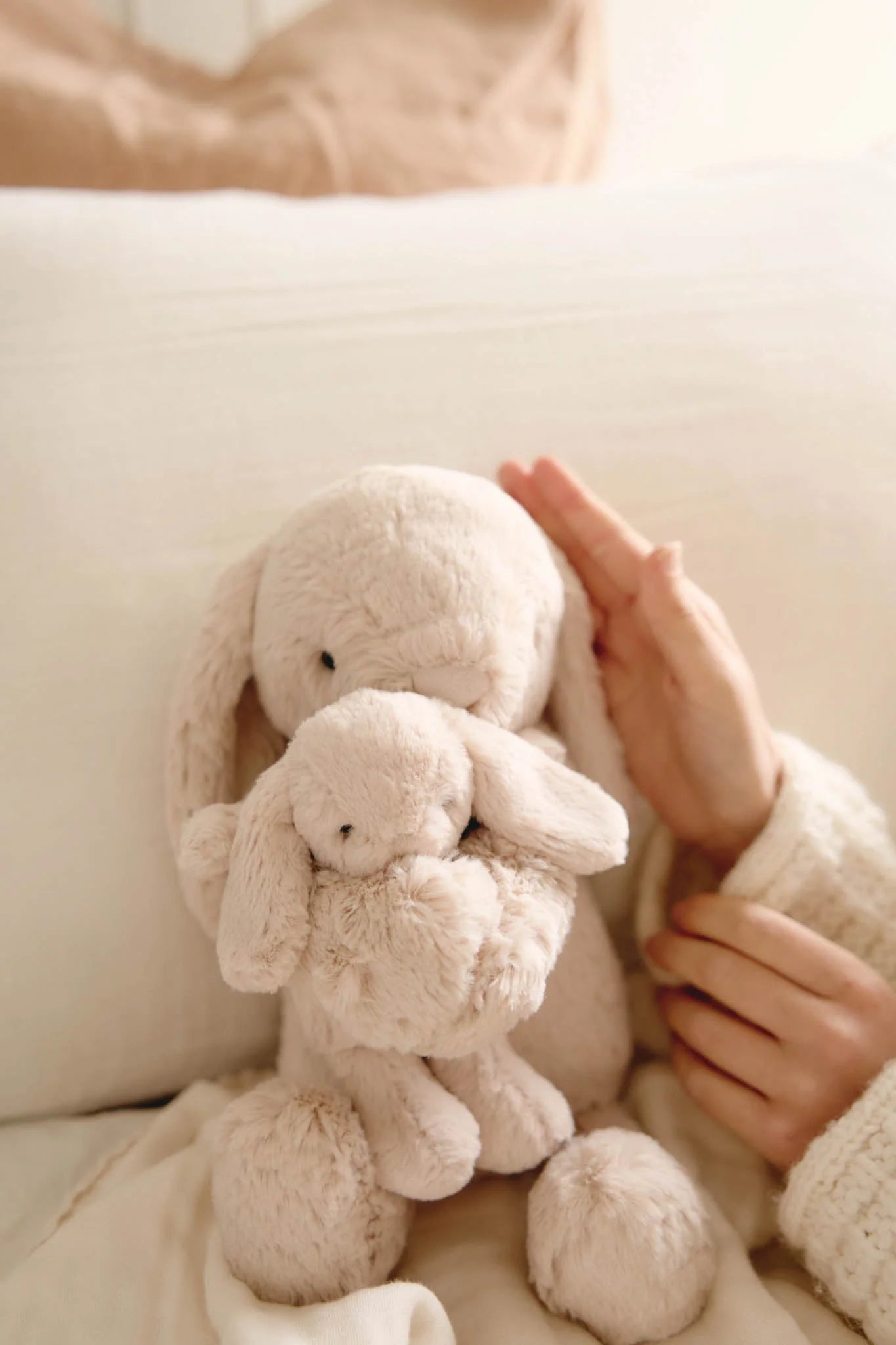 Snuggle Bunnies | Frankie The Hugging Bunny | Brulee