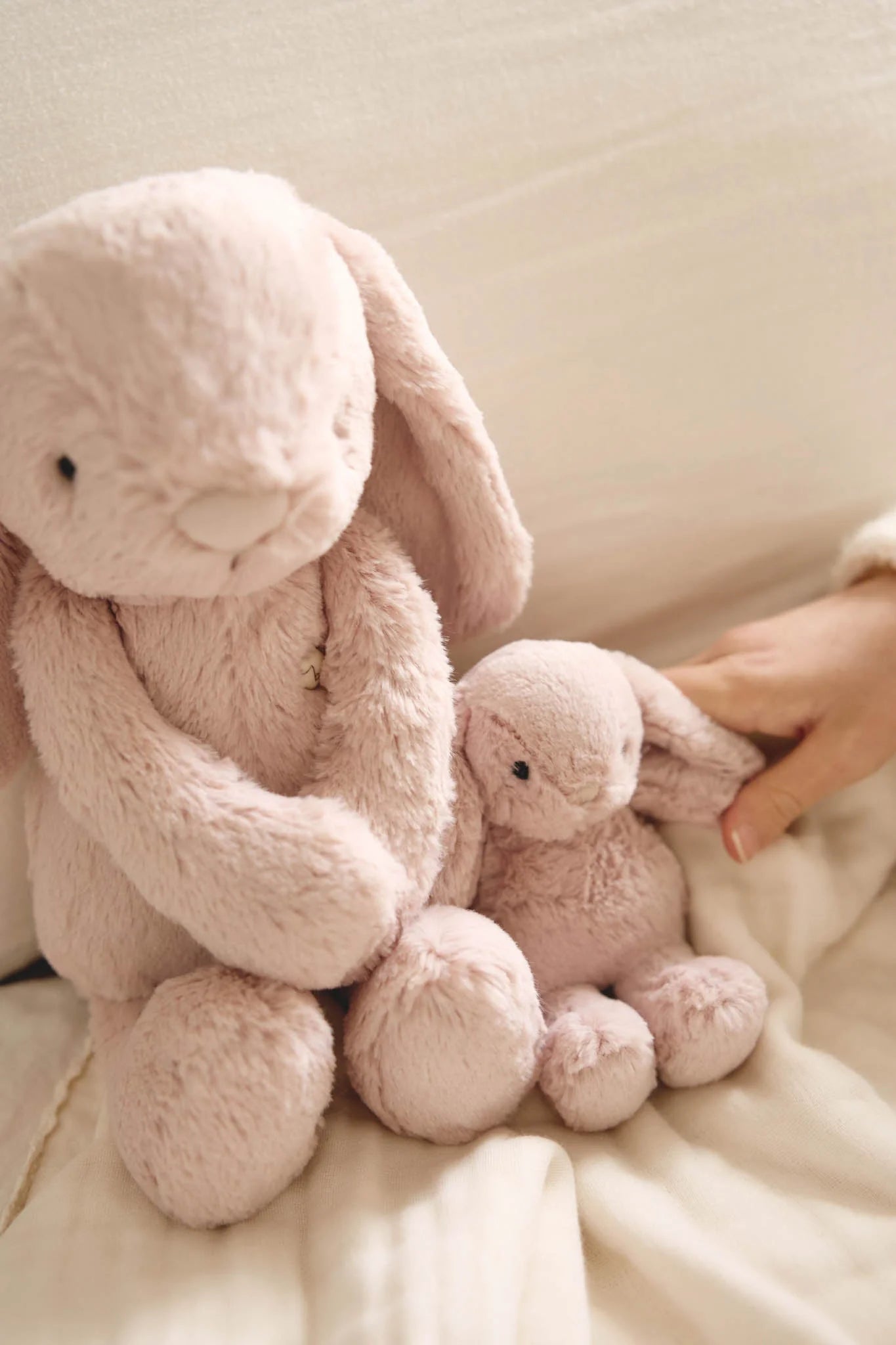 Snuggle Bunnies | Frankie The Hugging Bunny | Blush