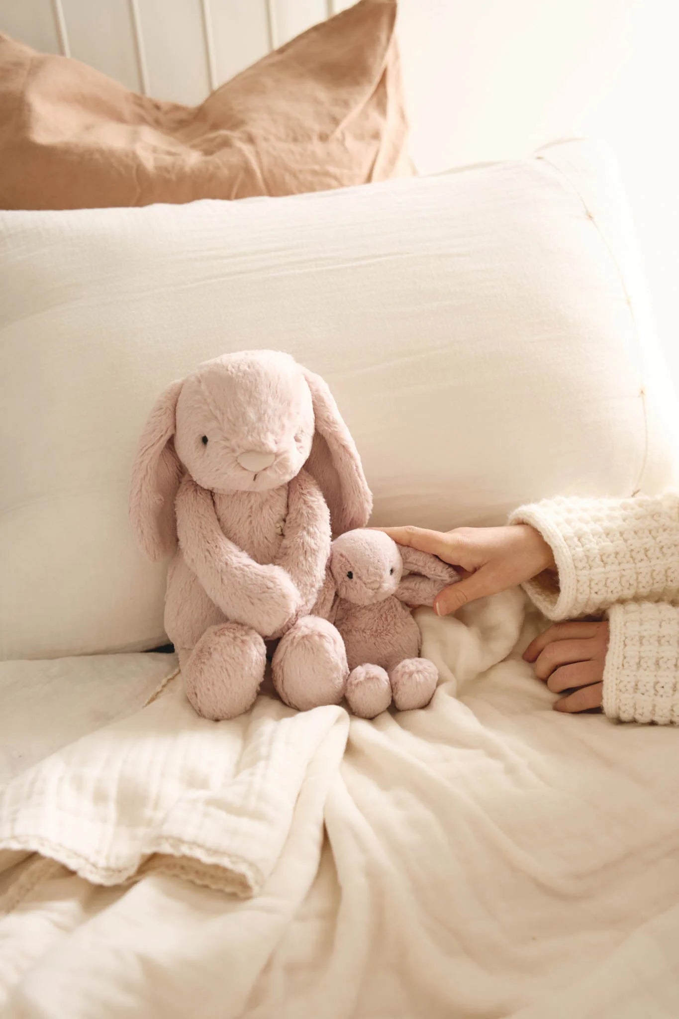 Snuggle Bunnies | Frankie The Hugging Bunny | Blush