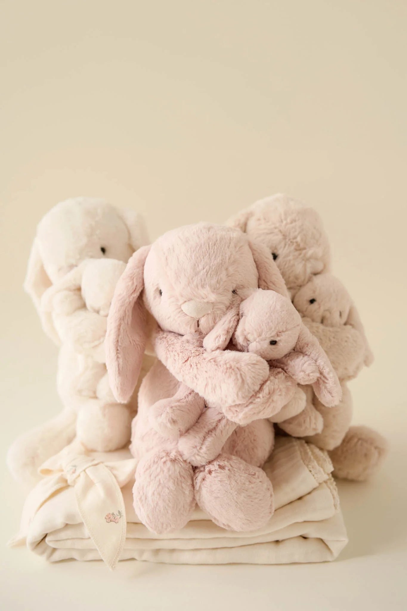 Snuggle Bunnies | Frankie The Hugging Bunny | Blush