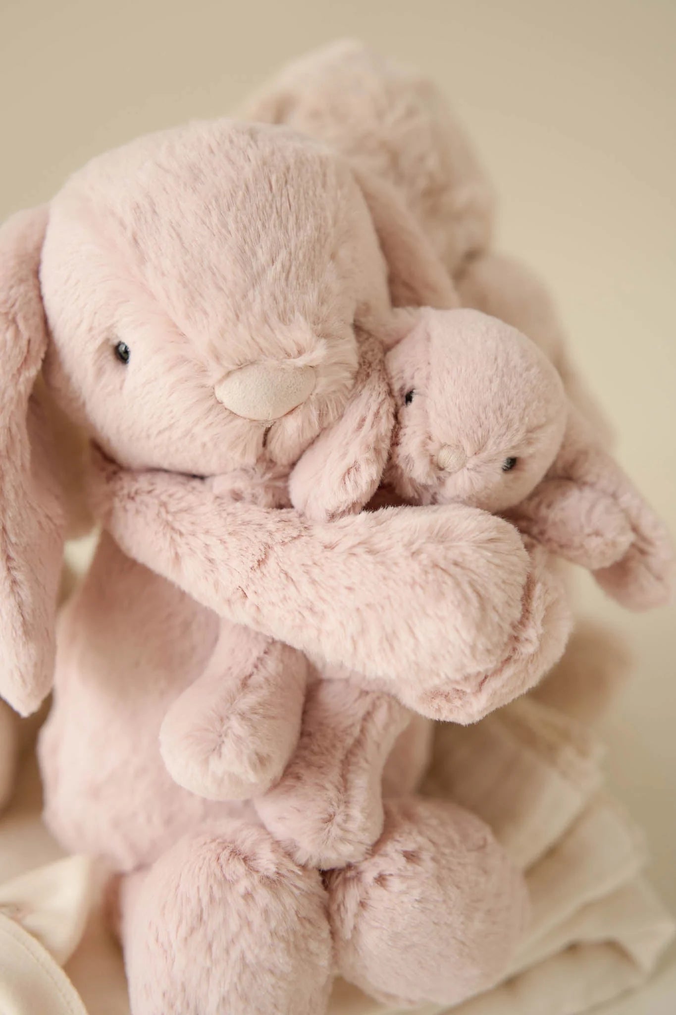 Snuggle Bunnies | Frankie The Hugging Bunny | Blush