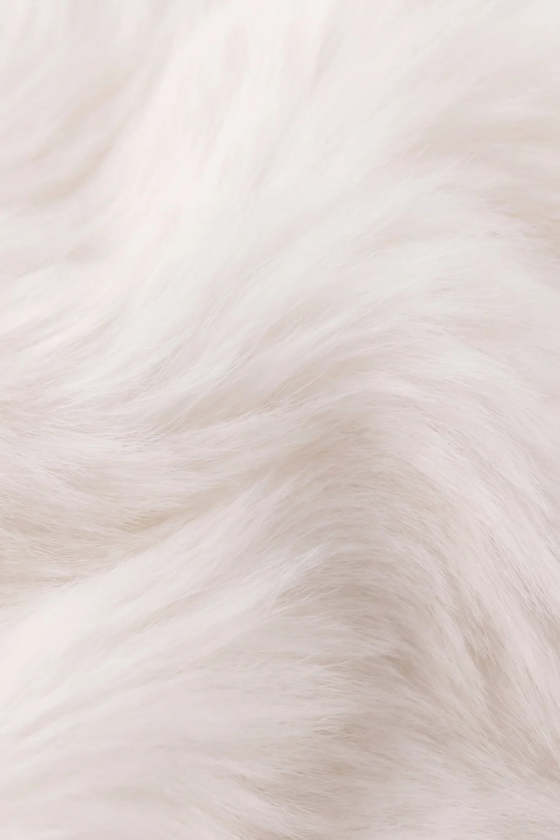 Snuggle Bunnies | Moon the Cat | Snow