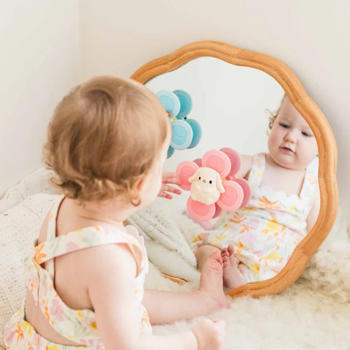 Sensory Spinners | Bear