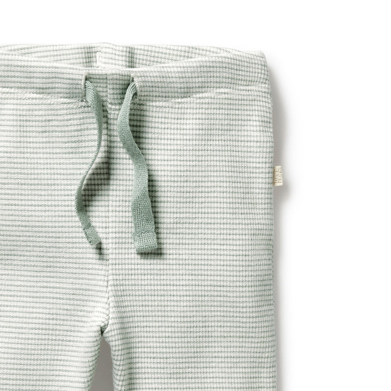 Organic Stripe Rib Legging | Fern