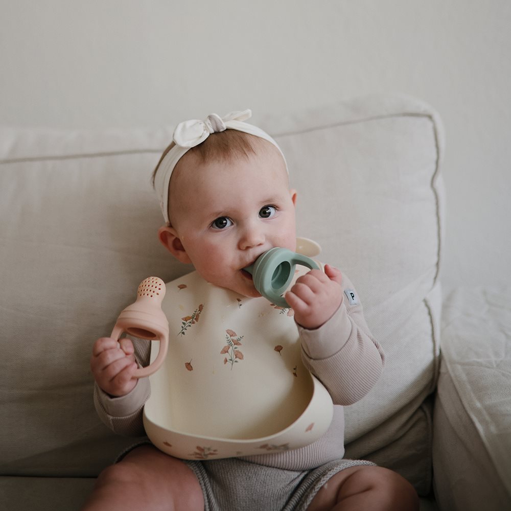 Silicone Fresh Food Feeder 2-pack