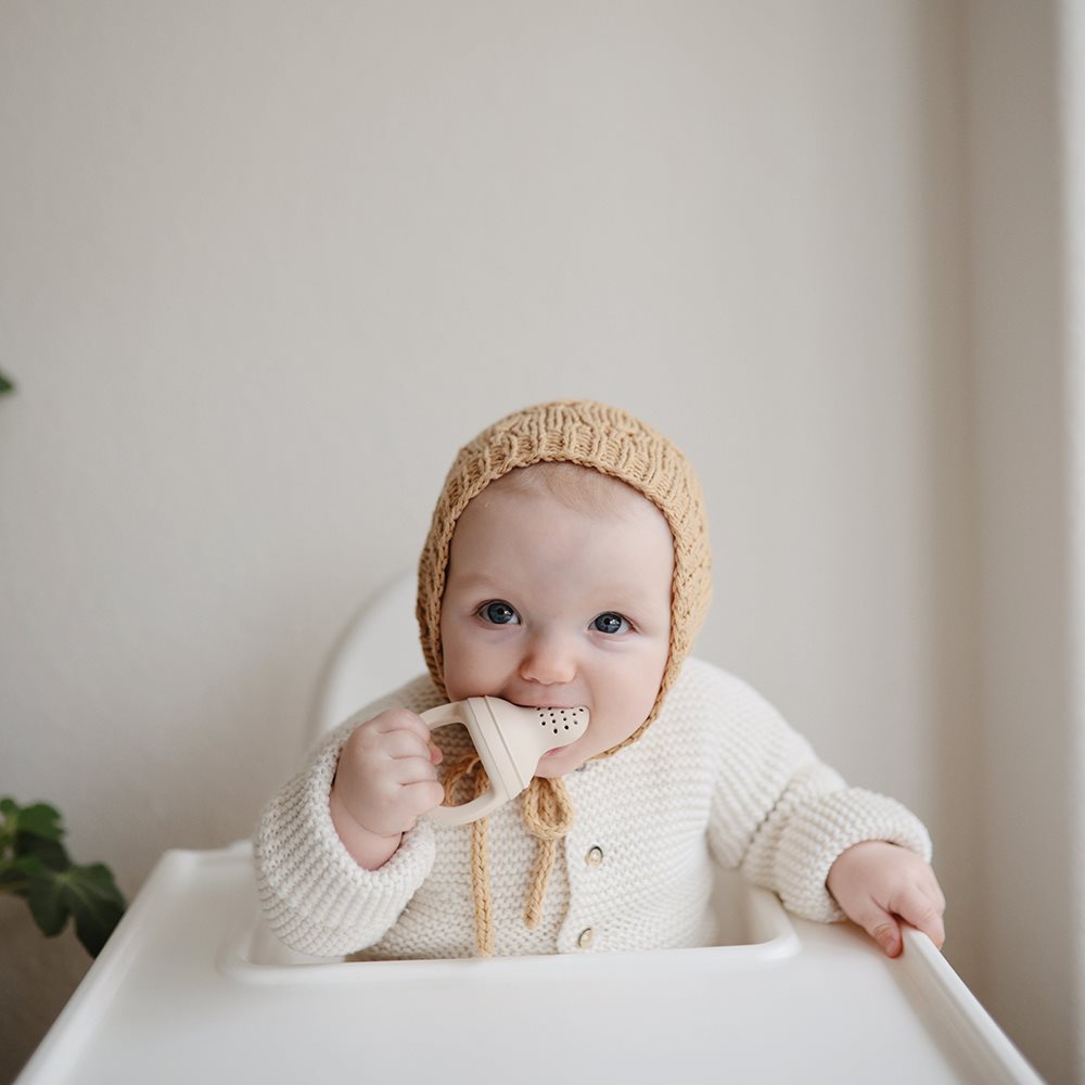 Silicone Fresh Food Feeder 2-pack