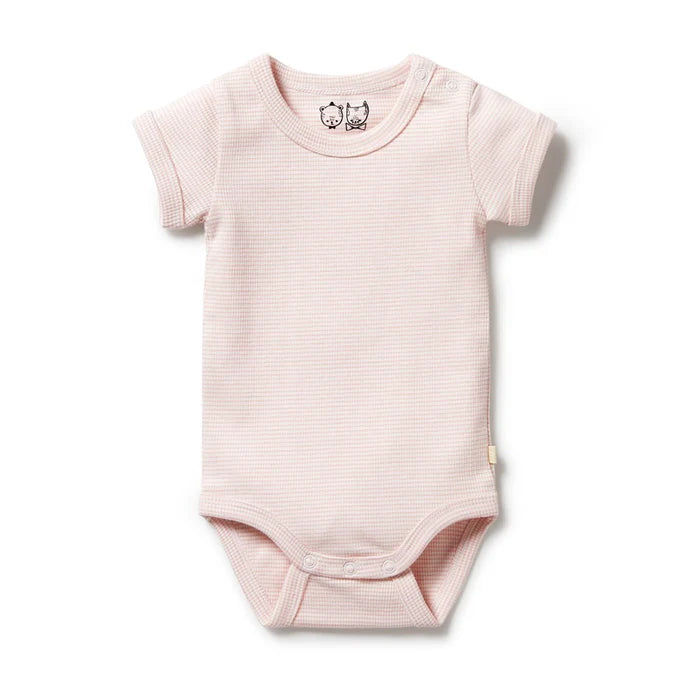 Organic Stripe Rib Bodysuit | Cantaloupe