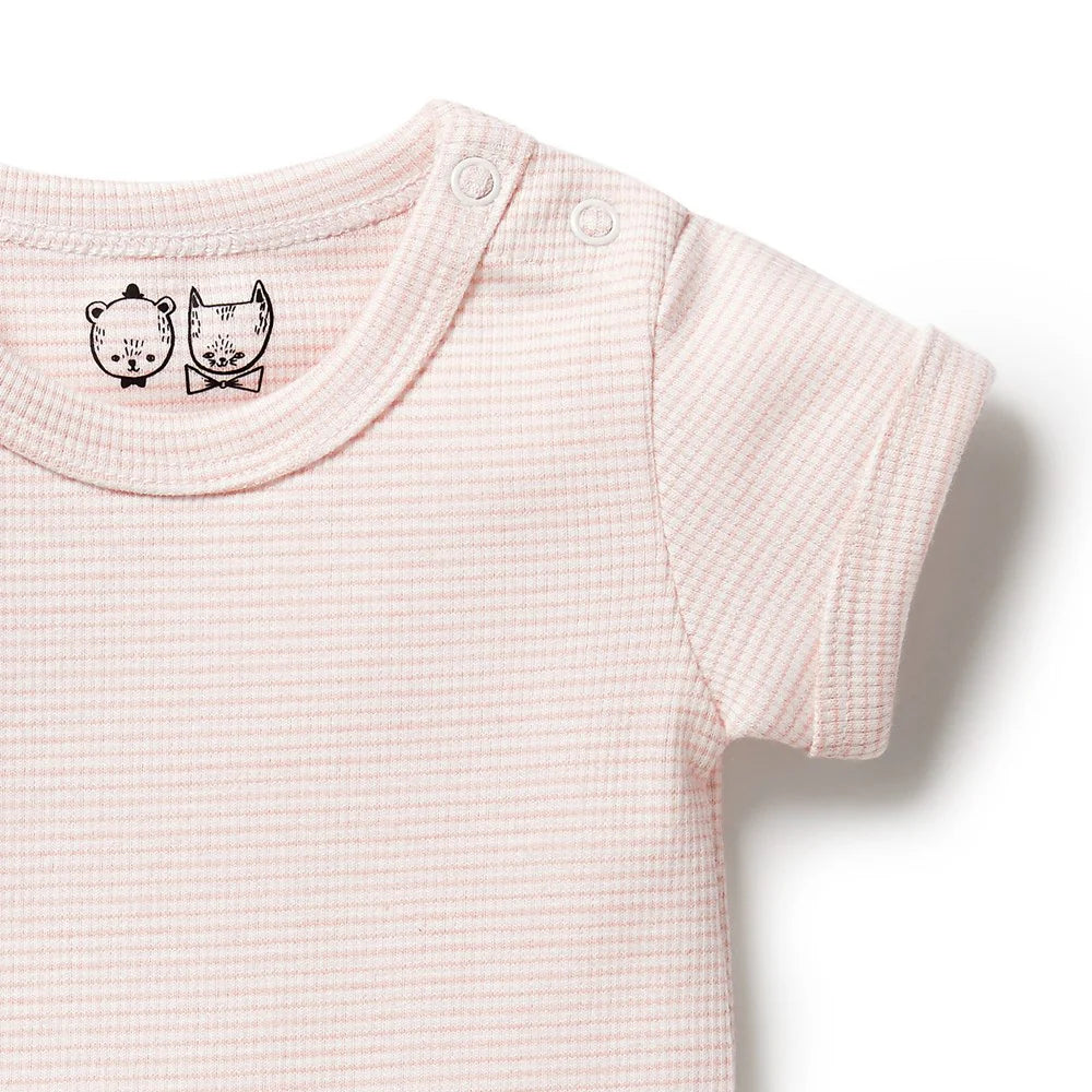 Organic Stripe Rib Bodysuit | Cantaloupe