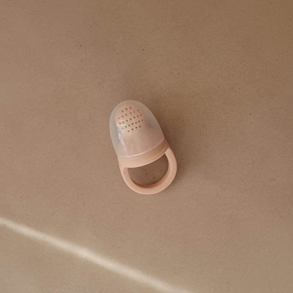 Silicone Fresh Food Feeder 2-pack