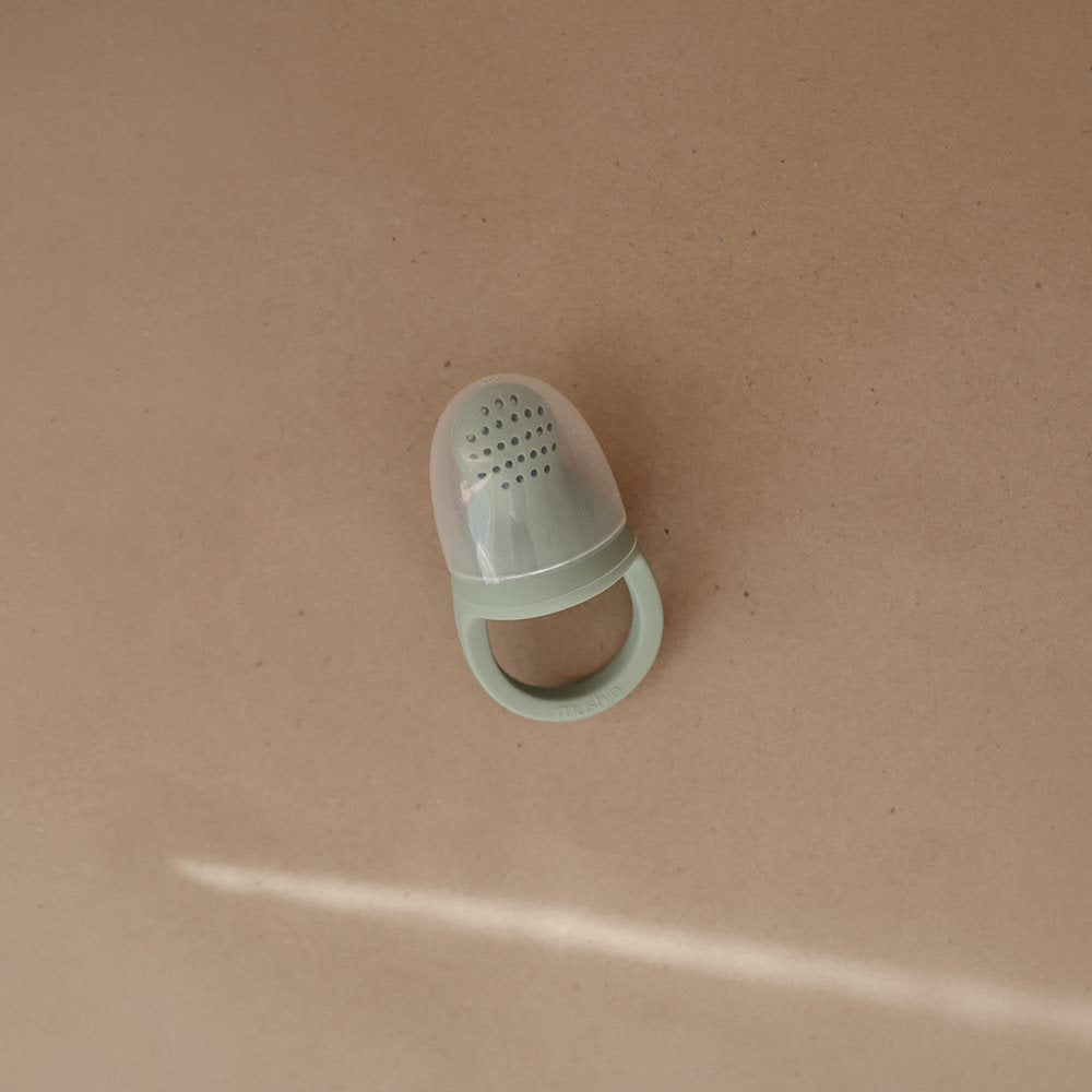 Silicone Fresh Food Feeder 2-pack