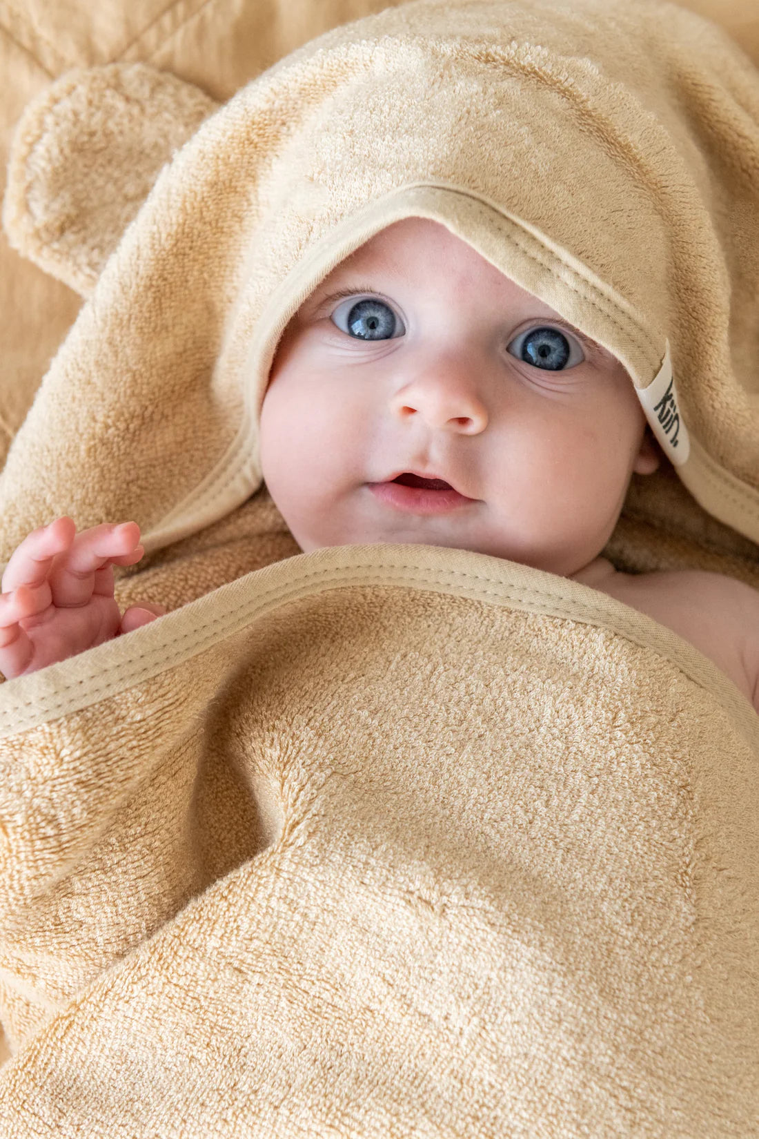 Hooded Bath Towel