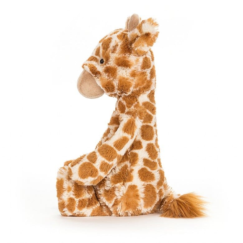 Bashful Giraffe | Medium