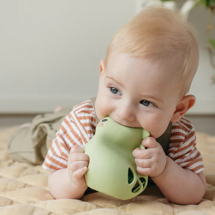 Silicon Rattle | Dino