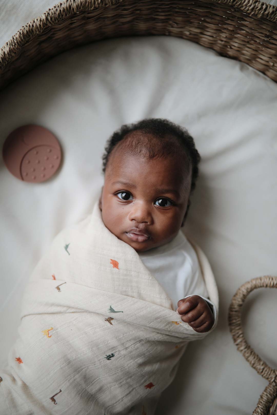 Organic Cotton Swaddle | Dinosaurs