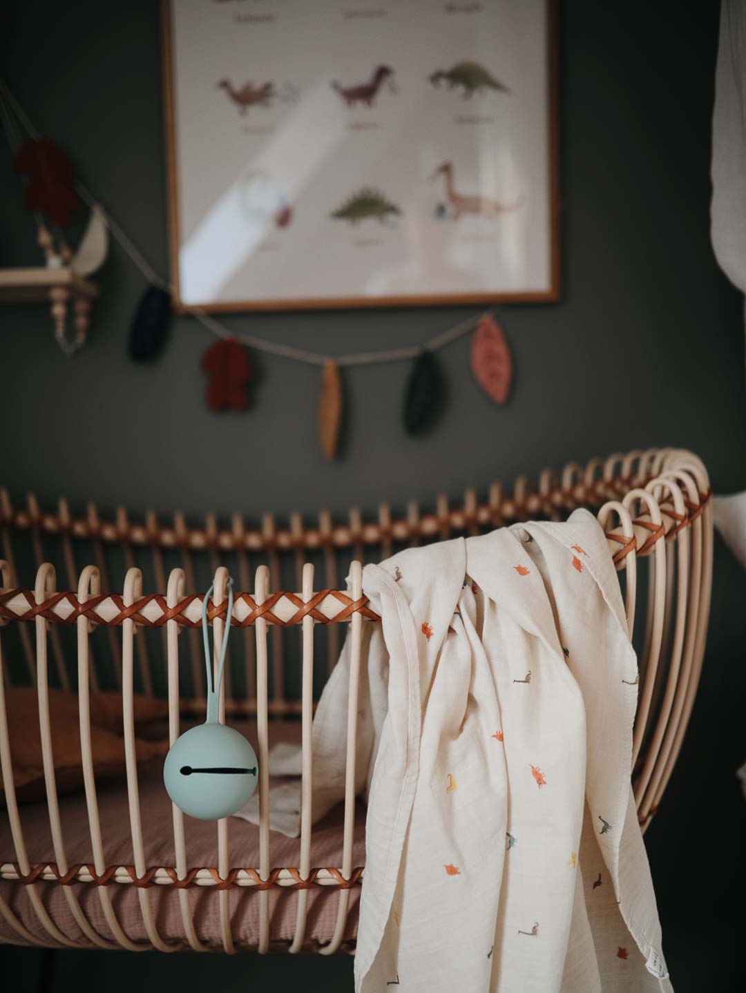 Organic Cotton Swaddle | Dinosaurs