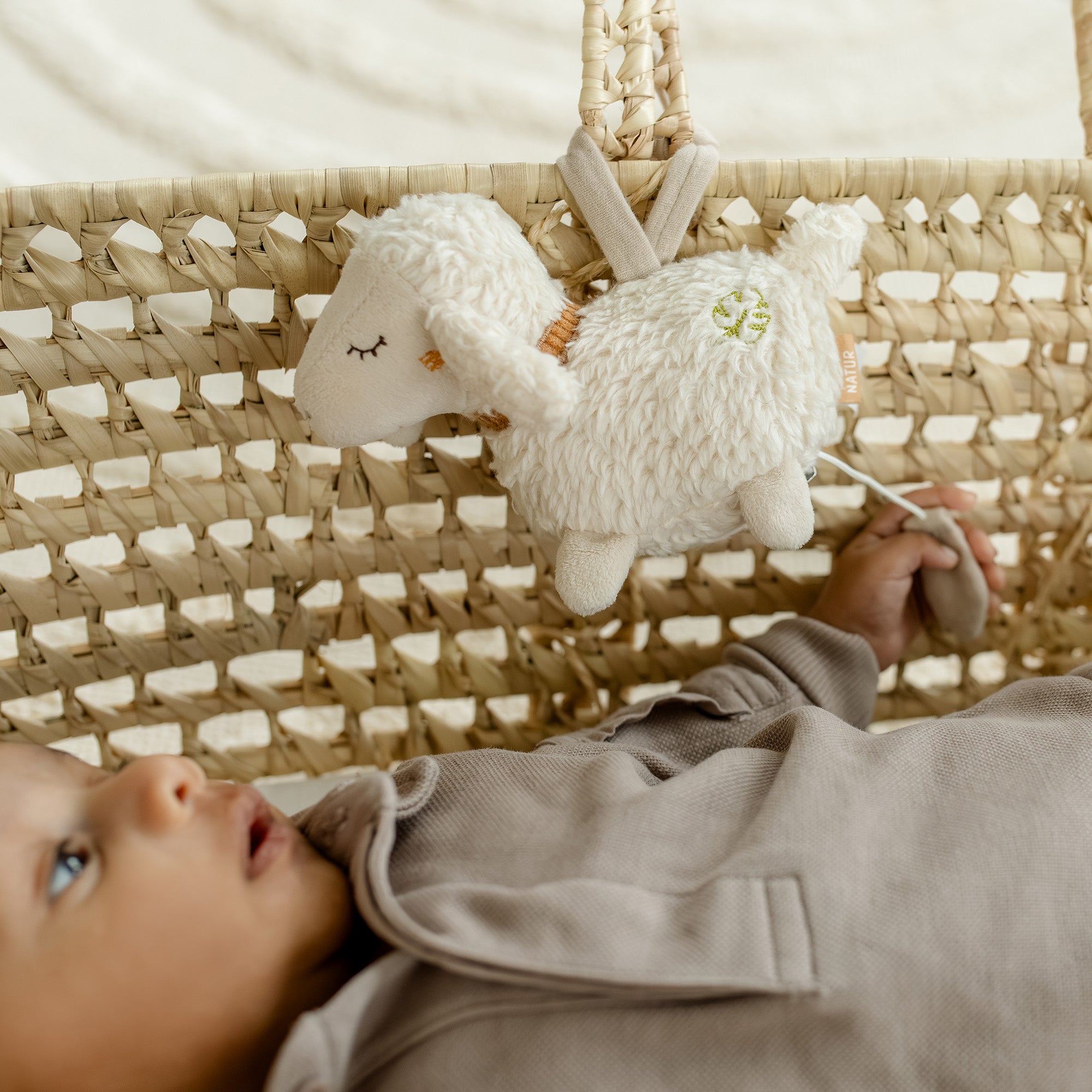 Mini Musical Sheep