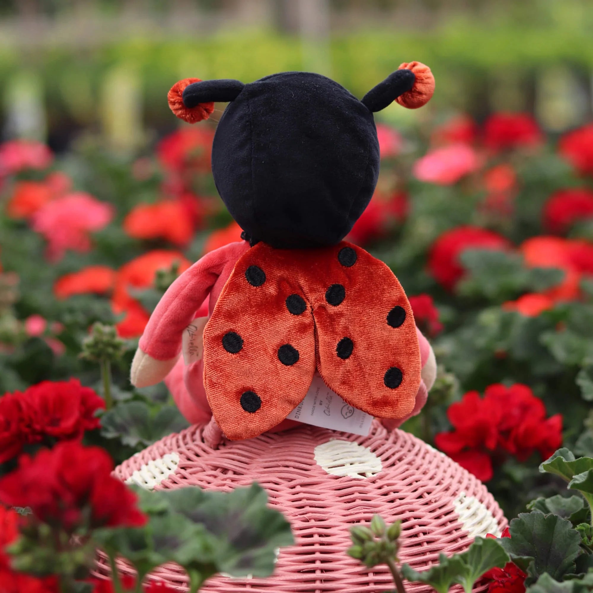 Dinky Dinkums | Lola Ladybug