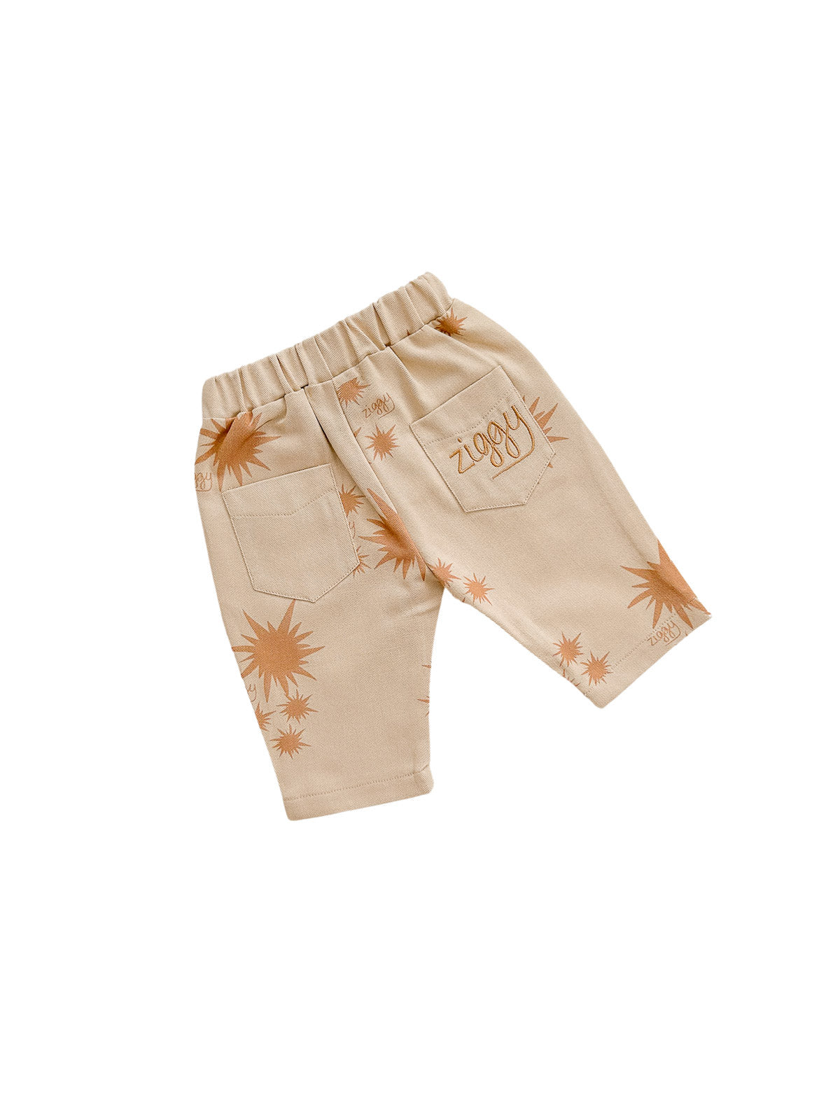 CANVAS PANTS | FLARE