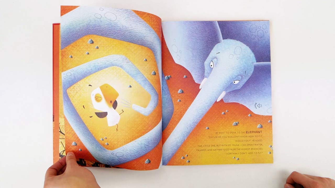 Sound book | In The Savannah