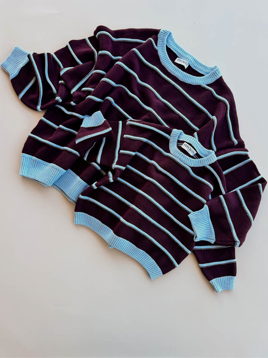 Raised Stripe Jumper | Blackberry/Arctic