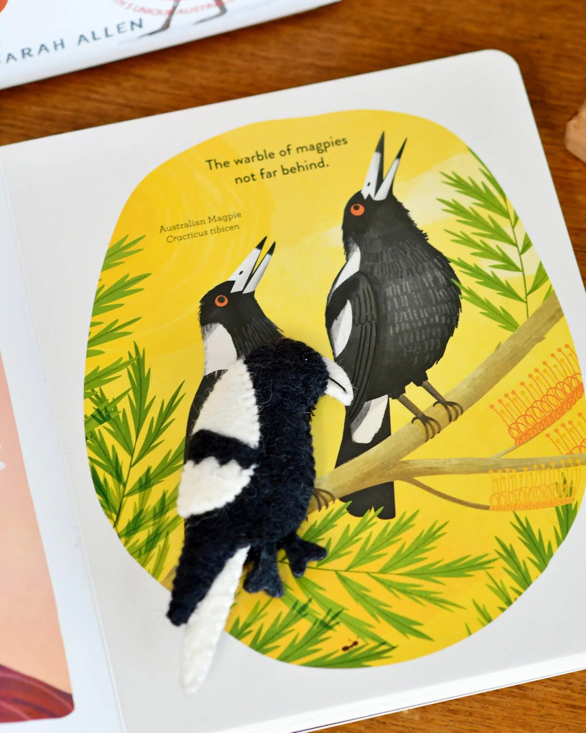 Book & Felt Finger Puppets | Busy Beaks