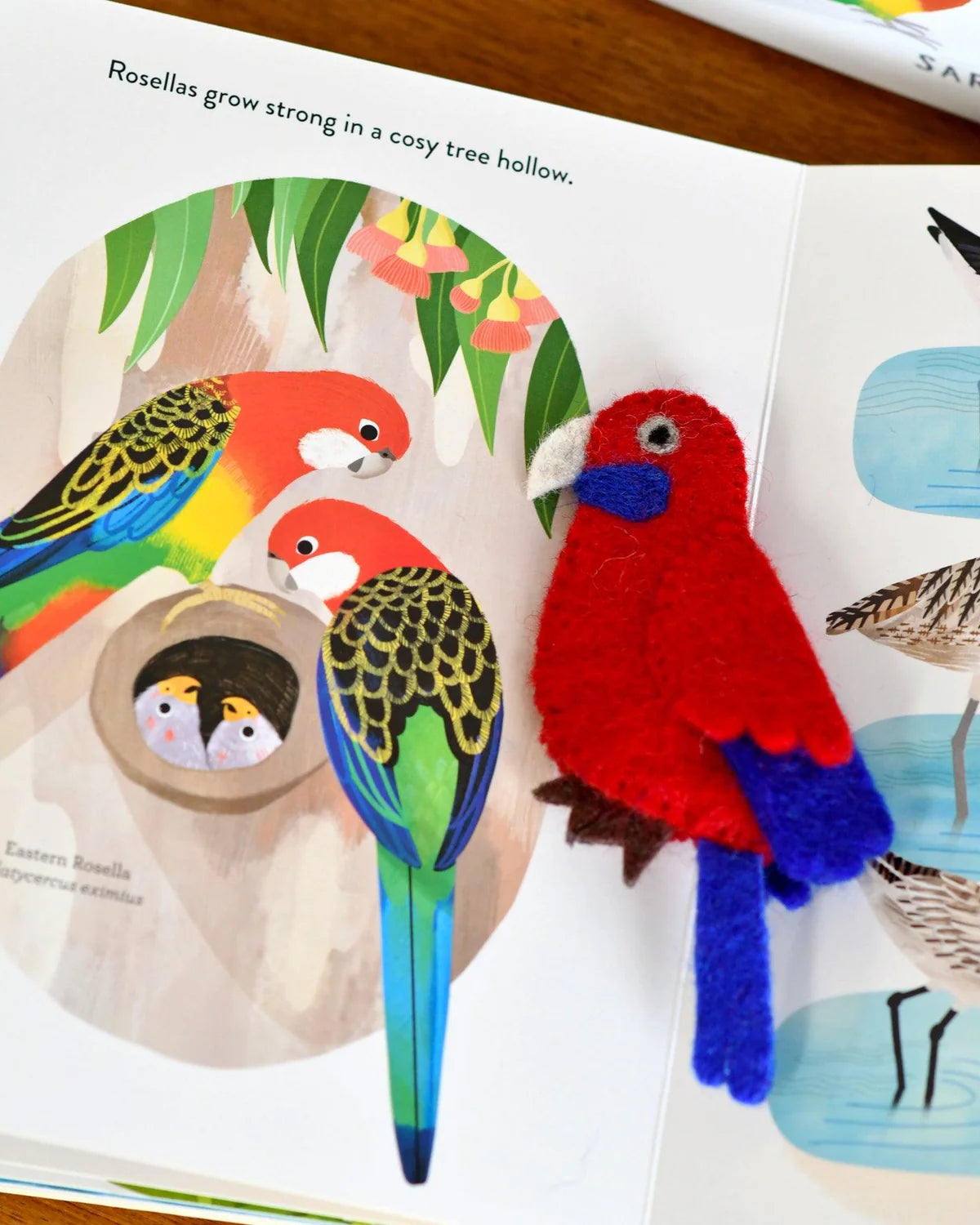 Book & Felt Finger Puppets | Busy Beaks