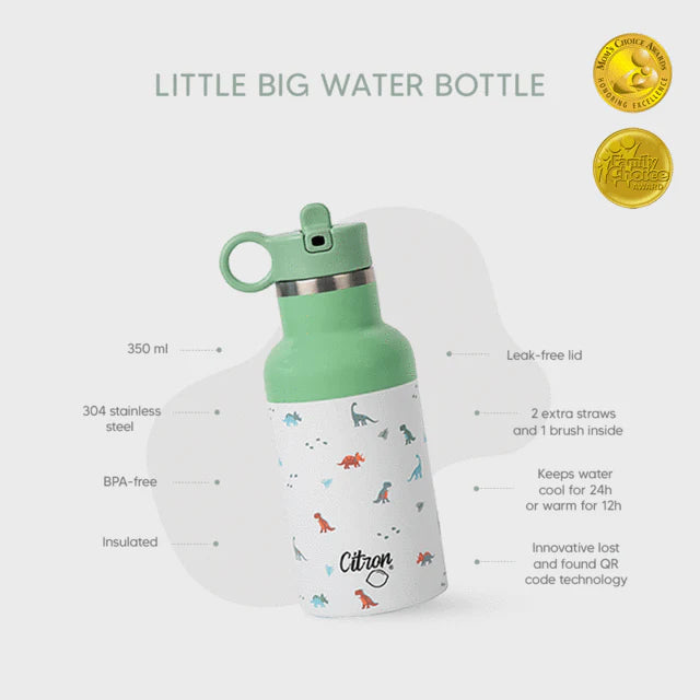 Dinosaur Insulated Kids Water Bottle | 350ml