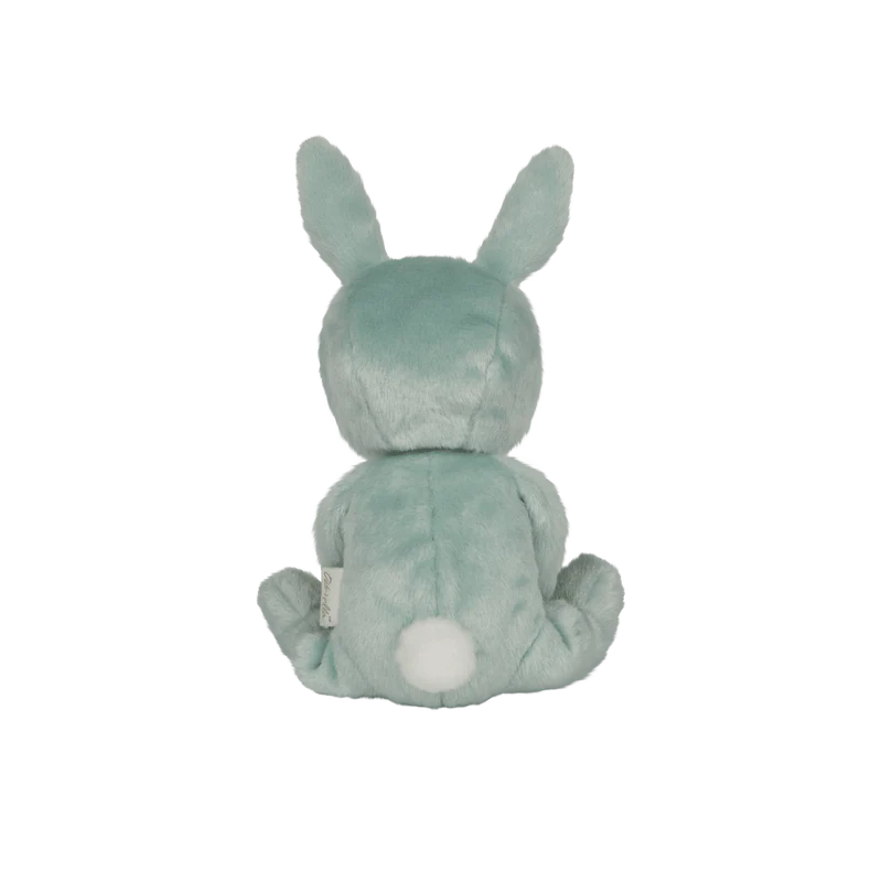 Dinky Dinkums | Biscuit