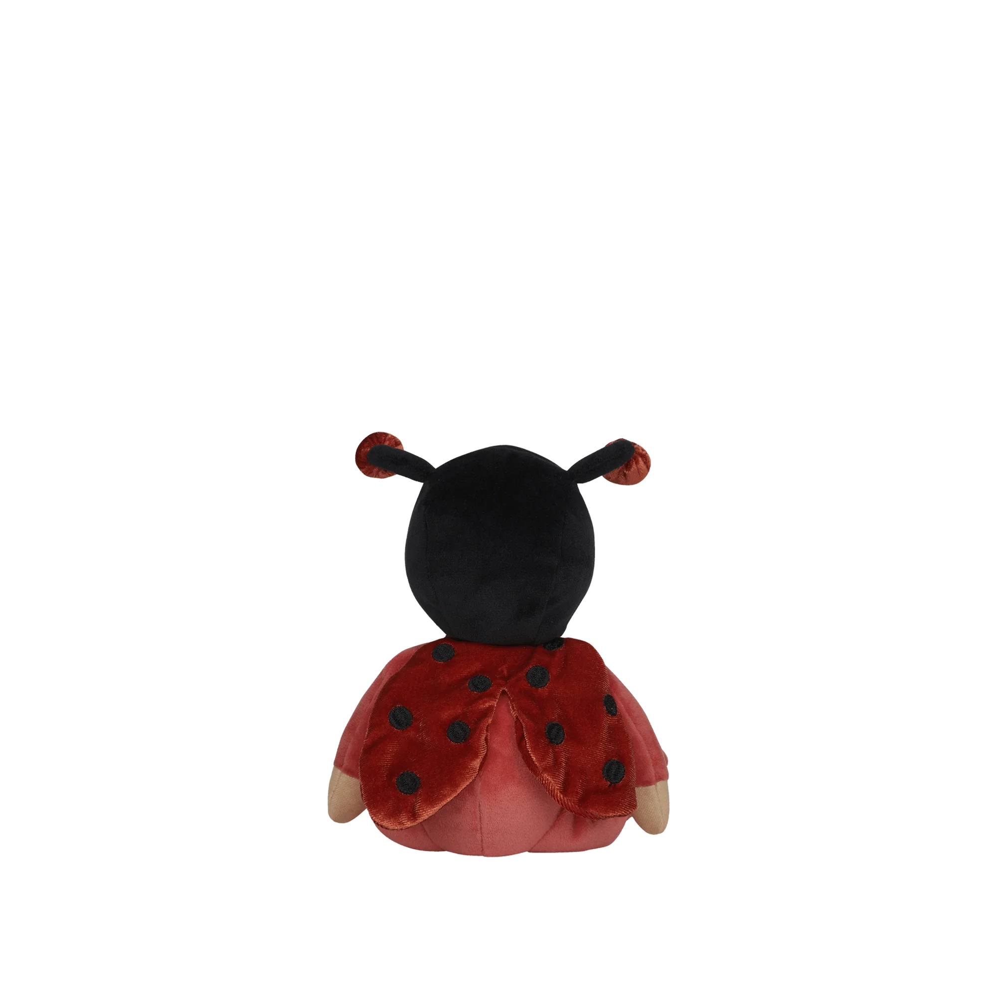 Dinky Dinkums | Lola Ladybug