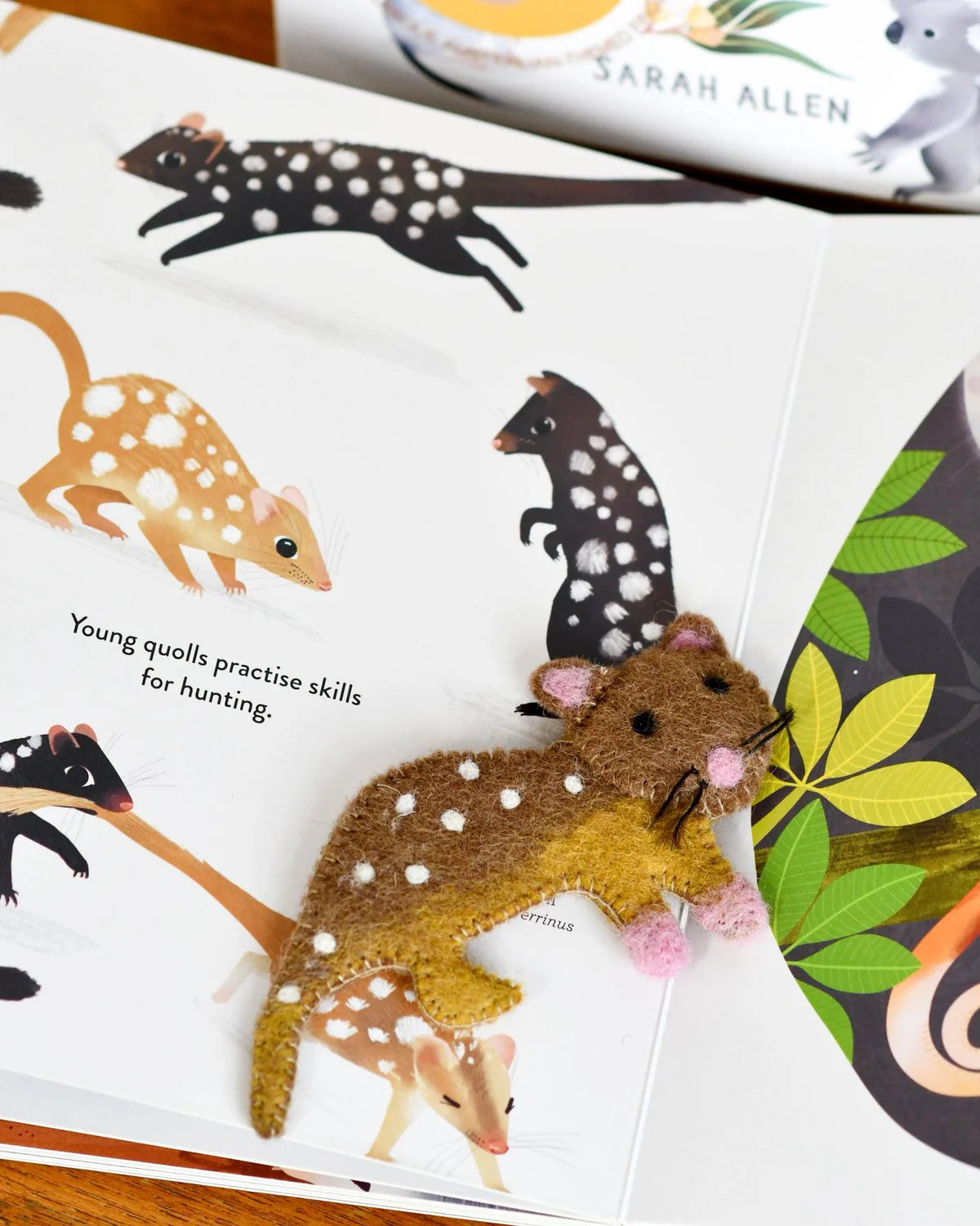 Book & Felt Finger Puppets | Jumping Joeys