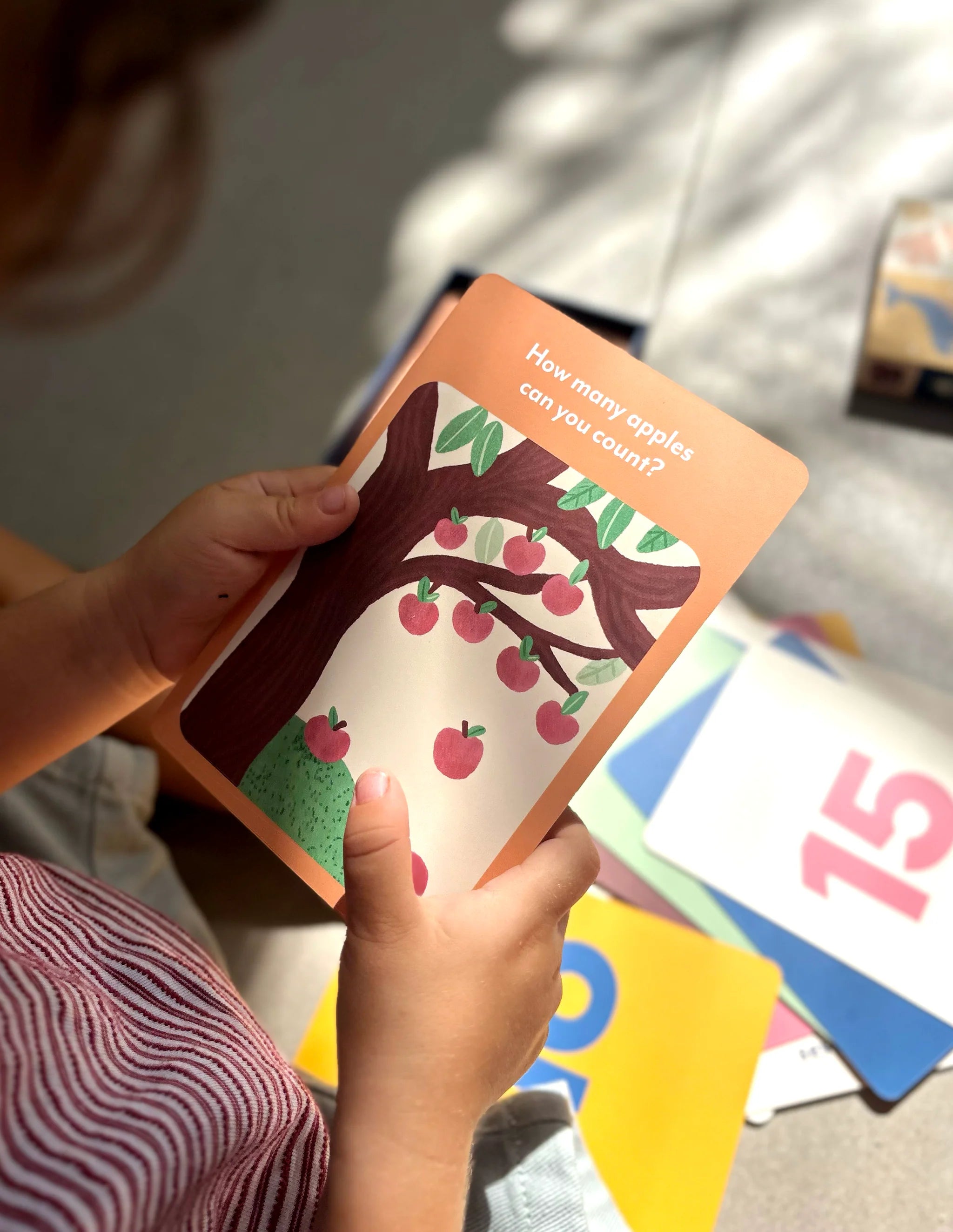 Illustrated Flash Cards | Numbers