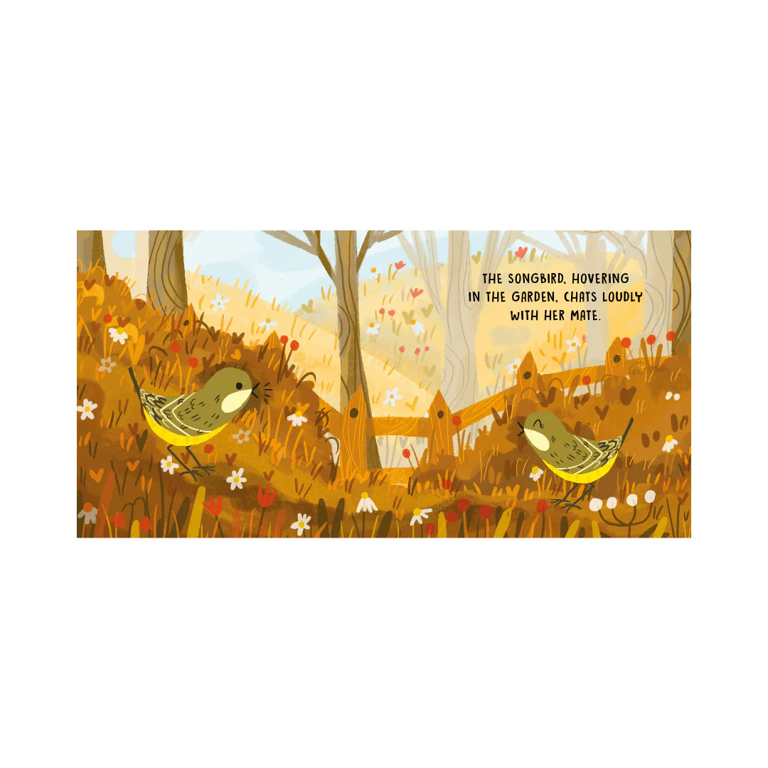 Sweet Sound Book | Birds